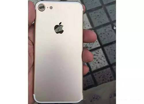 iphone7背面 图片源于网络