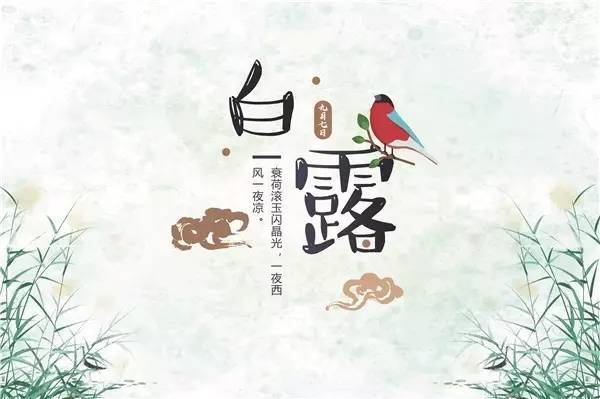 8日零时30分"白露节气:蒹葭苍苍 白露为霜