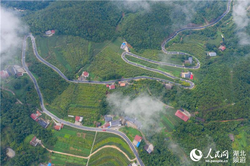 8月7日,无人机航拍的湖北省保康县歇马镇后园村盘山公路.