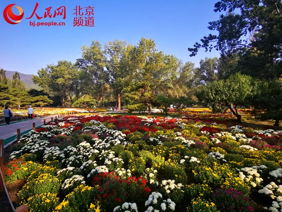 北京植物园第27届市花展将于10月1日正式开幕 城市 中国小康网