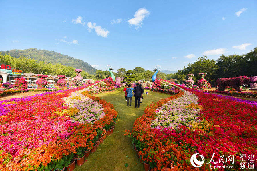 两岸花卉博览会(以下简称"农博会·花博会)在福建漳州花博园举办