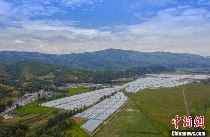 近年来,凉山因地制宜大力发展培育高山蔬菜基地,中药材基地,特色生态