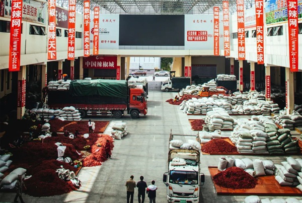 中国辣椒城内交易繁忙。新蒲新区融媒体中心供图