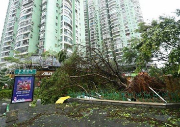 台风"莫兰蒂"减弱为热带低压 预计5省份有暴雨