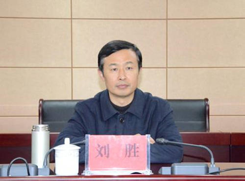霍邱县委书记刘胜:要全力做好服务对接工作 推进项目早日落地实施