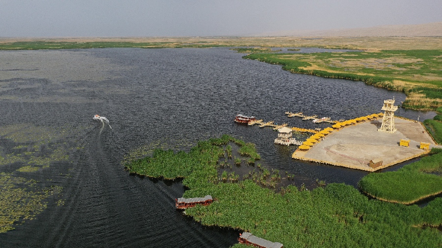 新疆博湖县:莲海世界景区万亩睡莲竞相开放