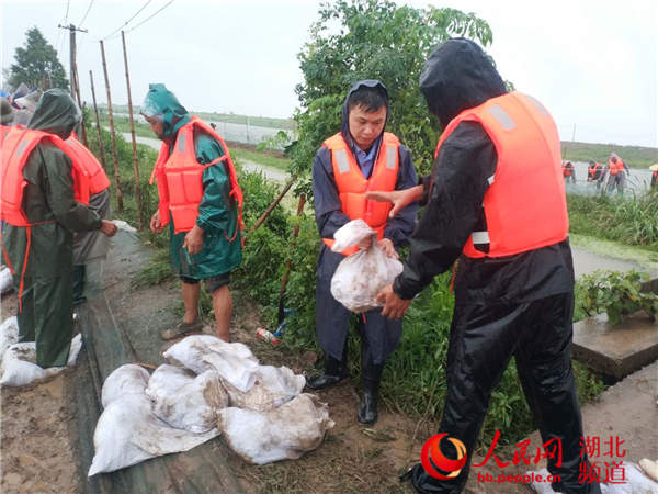 "曹憨子突击队"队员曾壮冒雨加筑堤防(何友 摄)