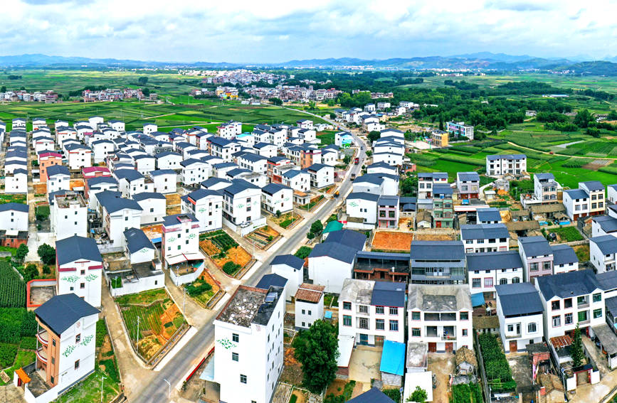 航拍横州市乡村风貌。黄汝德摄 (2).jpg