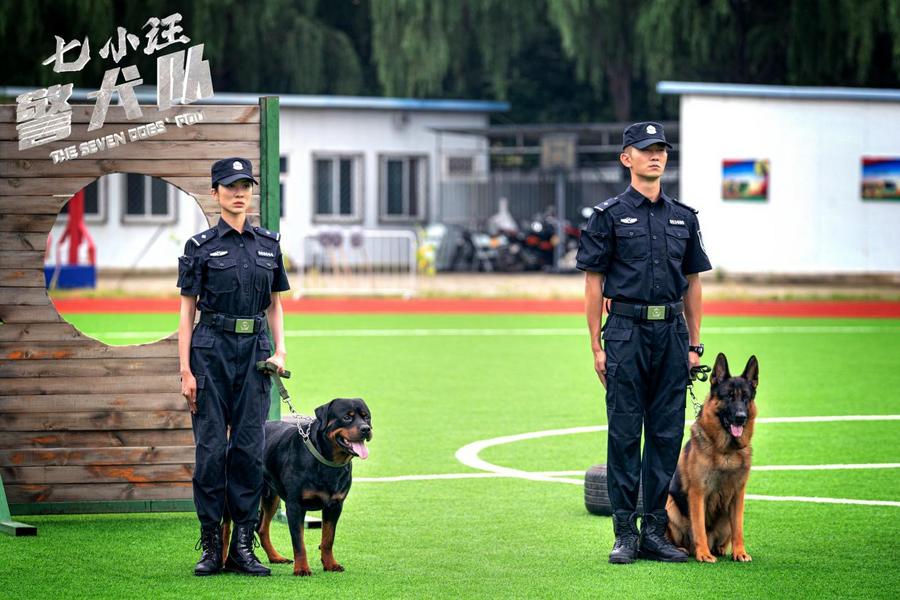 警犬电影黑狼图片