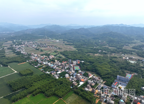 惠州博羅:鋪就幸福民生路_縣域要聞_中國小康網