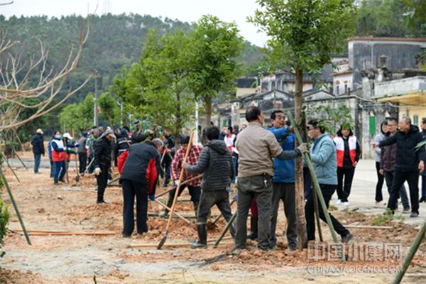 江门举行“我为侨乡种棵树”植树活动