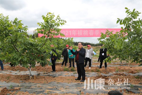 科技赋能“粮库”，共绘绿色“丰”景——四川省林科院科研团队助推四川天府森林粮库建设